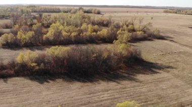 Rusya 'daki bir İHA' dan güzel bir sonbahar manzarası