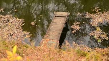 Rusya 'da sonbahar yapraklarında nehirde küçük bir köprü