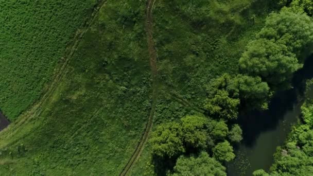 Blick auf den Fluss in Russland von Drohnen aus. Sommerzeit — Stockvideo