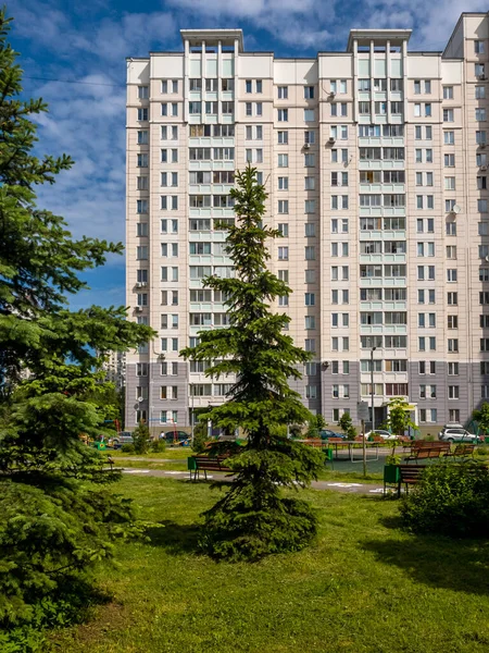 Sparren Stedelijk Landschap Moskou Rusland — Stockfoto