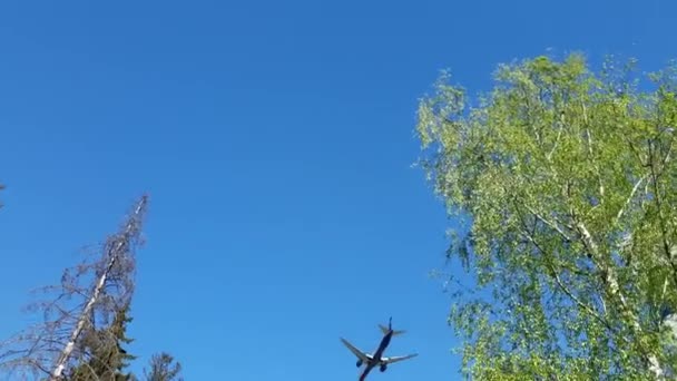 Šeremetěvo, Rusko - 9. května. 2018. Airbus a320 letecké společnosti Aeroflot — Stock video