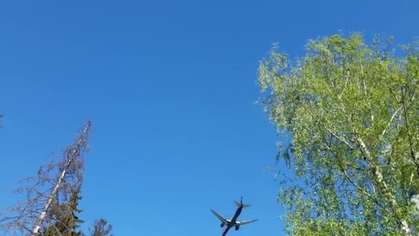 Sheremetyevo, Rusia - 09 de mayo. 2018. Airbus a320 de la aerolínea Aeroflot — Vídeo de stock