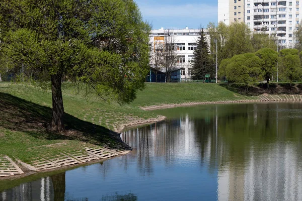 Stadsdammen Zelenograds Administrativa Distrikt Moskva Ryssland — Stockfoto