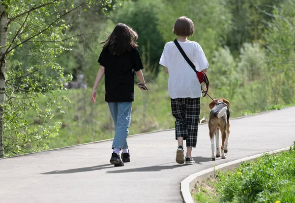 Due Adolescenti Accompagnano Cane Guinzaglio Nel Parco — Foto Stock