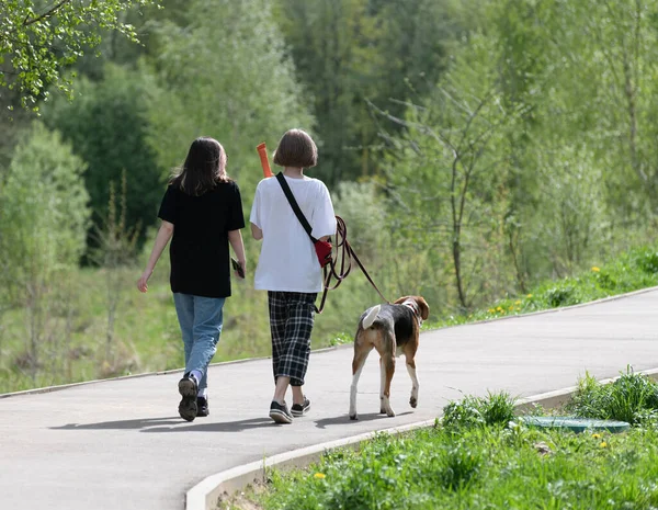 Due Adolescenti Accompagnano Cane Guinzaglio Nel Parco — Foto Stock