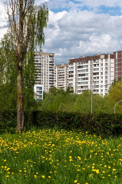 Zelenograd Ekologická Oblast Moskvě Rusko — Stock fotografie