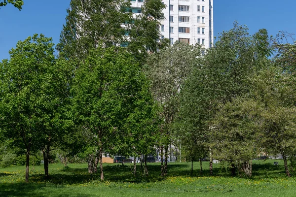 Zelenograd Ympäristöystävällinen Alue Moskovassa Venäjällä — kuvapankkivalokuva