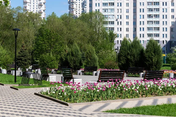 Zelenograd Zona Ecológica Moscú Rusia — Foto de Stock