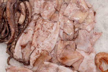 Mürekkep balığı ve ahtapot dokunaçları satılık.