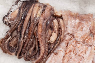 Mürekkep balığı ve ahtapot dokunaçları satılık.