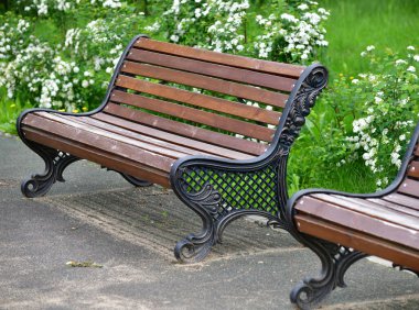 Yazın çiçekli çalı olan boş park bankı, Rusya