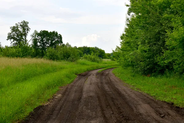 Schotterstraße Sommer Russland — Stockfoto