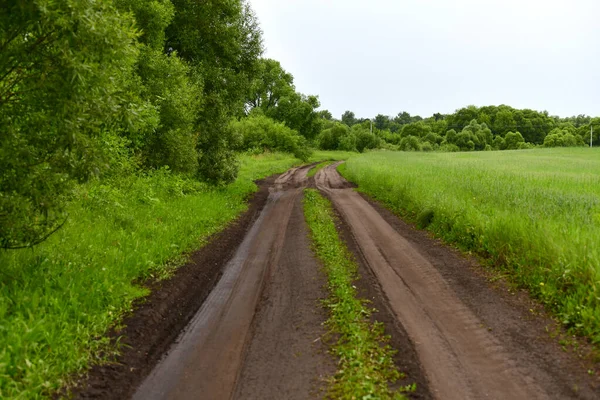 Drumul Murdar Timpul Verii Rusia — Fotografie, imagine de stoc