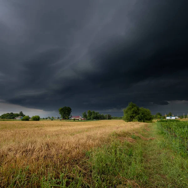 Het landschap van het zomerlandschap met een donderwolk — Stockfoto