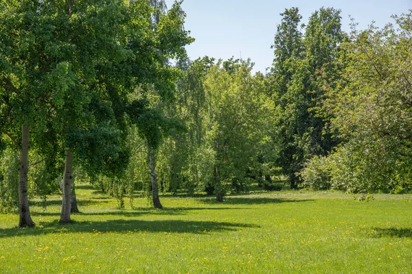 Parque con diferentes árboles de hoja caduca en Kolomenskoye en Moscú, Rusia — Foto de Stock