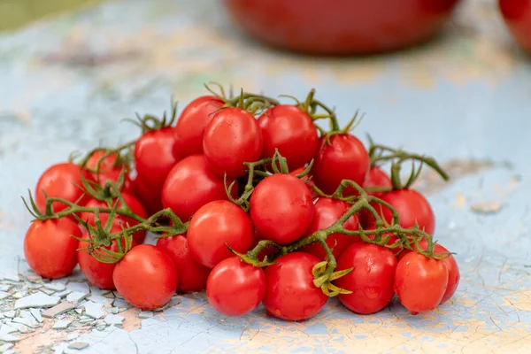 The pile of ripe tomatoes on the table — Stock Photo, Image