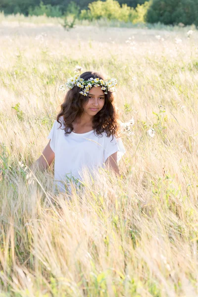 Hermosa chica en un campo en el día de verano —  Fotos de Stock