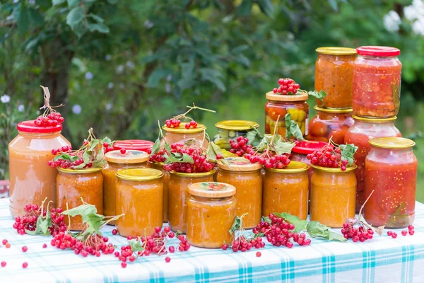 Casa legumes no jardim um verão — Fotografia de Stock