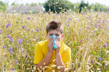 Boy with allergic rhinitis in  meadow clipart