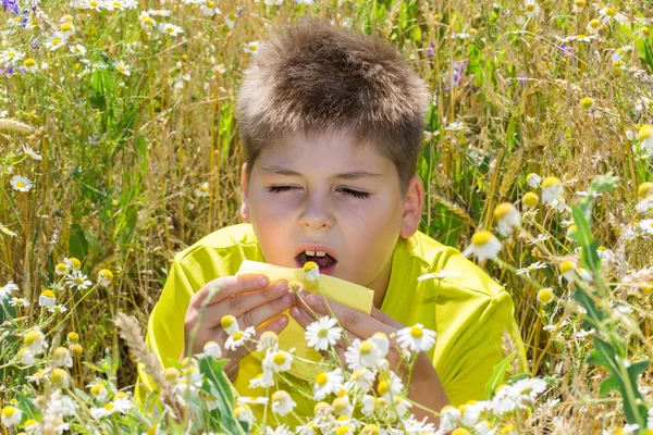 Мальчик с аллергическим ринитом на лугу — стоковое фото