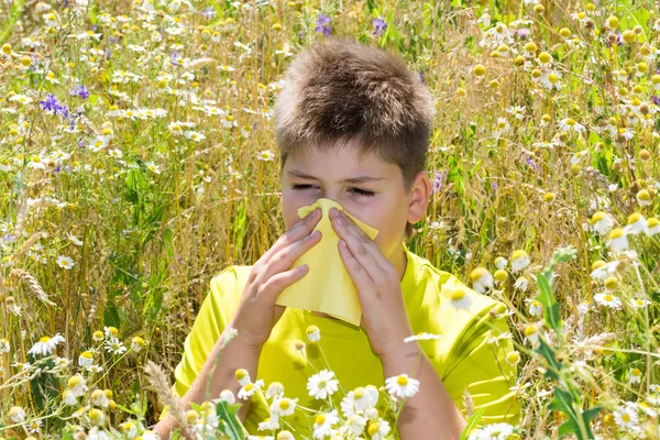 Menino com rinite alérgica no prado — Fotografia de Stock