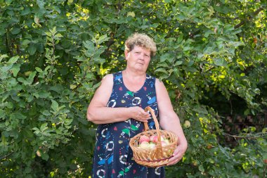 yaşlı kadın ile elma sepeti