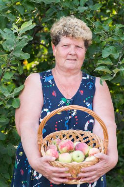 yaşlı kadın ile elma sepeti