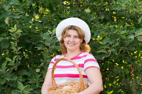Женщина с корзиной яблок в саду — стоковое фото