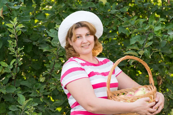 Mulher com uma cesta de maçãs no jardim — Fotografia de Stock