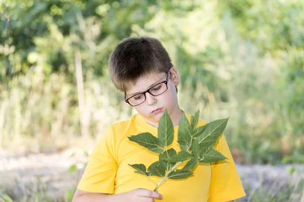 Portrait of 10-year-old boy in  park — Stock Photo, Image