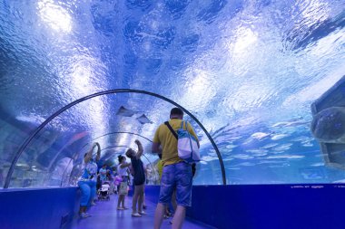 Antalya, Türkiye-1 Eylül 2014 insanlar içinde belgili tanımlık akvaryum. Dünya panoramik tüneli alength 131 metre ile en uzun