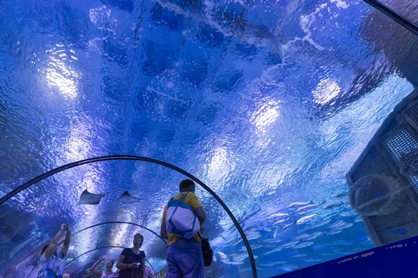 Antalya, Turkey-1 September 2014 People in the  aquarium. IT  is  longest of  world panoramic tunnel with alength  131 meters — Stock Photo, Image