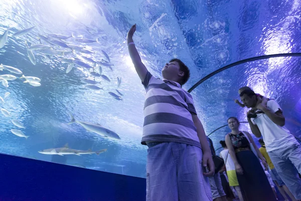 Antalya, Turkey-1 September 2014 People in the  aquarium. IT  is  longest of  world panoramic tunnel with alength  131 meters — Stock Photo, Image