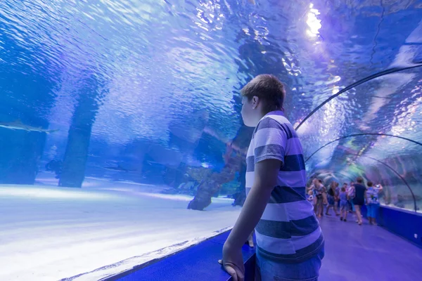 Antalya, Turkey-1 September 2014 People in the  aquarium. IT  is  longest of  world panoramic tunnel with alength  131 meters — Stock Photo, Image