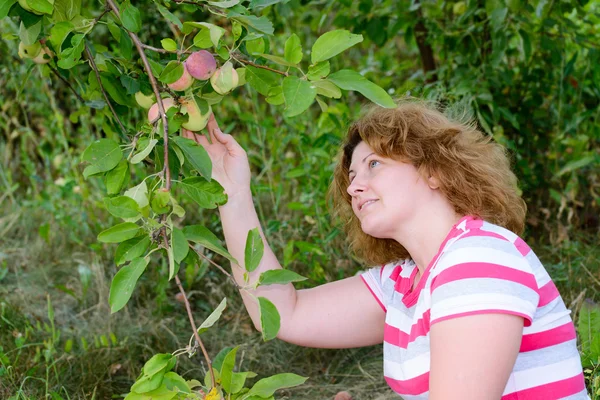 Mujer de mediana edad en un jardín sobre manzanos — Foto de Stock