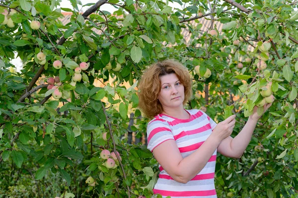 Middle-aged woman in a garden about Apple trees — Stock Photo, Image