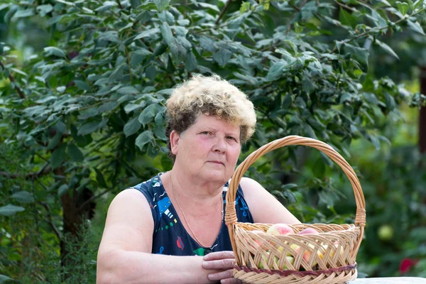 Пожилая женщина с корзиной яблок в саду — стоковое фото