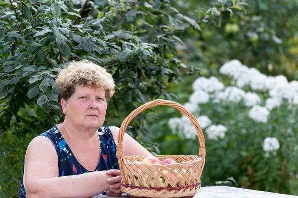 Starsza kobieta z koszem jabłek w ogrodzie — Zdjęcie stockowe