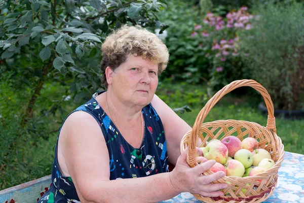 Yaşlı kadın ile bahçede elma sepeti — Stok fotoğraf