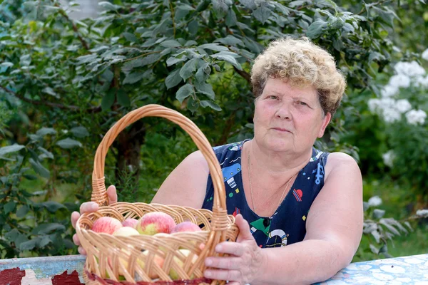 Femme âgée avec panier de pommes dans le jardin — Photo