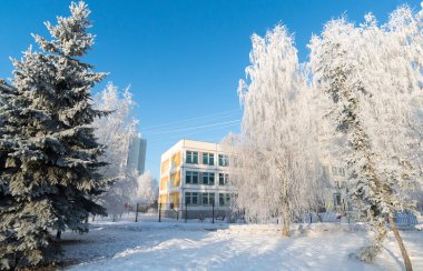 Şehrin Moskova, Rusya'nın karla kaplı ağaçlar