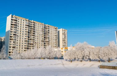 Şehrin Moskova, Rusya'nın karla kaplı ağaçlar