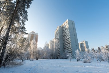 Şehrin Moskova, Rusya'nın karla kaplı ağaçlar