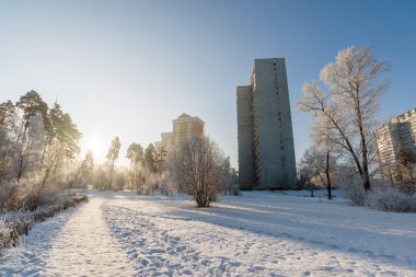 Şehrin Moskova, Rusya'nın karla kaplı ağaçlar