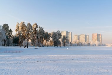Şehrin Moskova, Rusya'nın karla kaplı ağaçlar