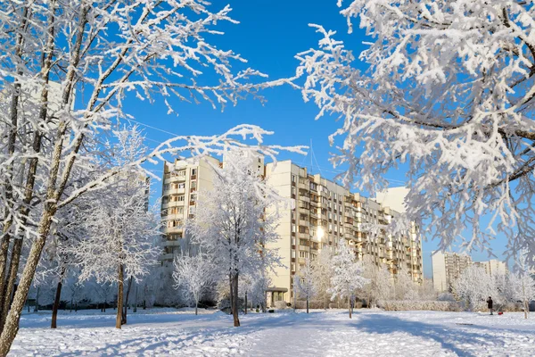 白雪覆盖的树木，在莫斯科，俄罗斯城市 — 图库照片