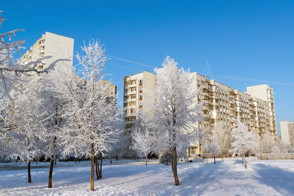 Snow-covered trees in the city of Moscow, Russia — Stock Photo, Image