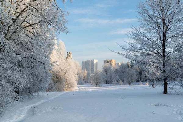 Snötäckta träd i staden Moskva — Stockfoto