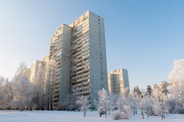 Snow-covered trees in the city of Moscow, Russia — Stock Photo, Image