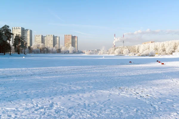 Árvores cobertas de neve na cidade de Moscou, Rússia — Fotografia de Stock